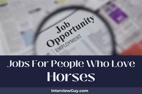 26 Jobs For People Who Love Horses (Jockey Your Way)