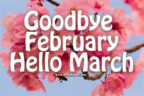 Goodbye February Hello March Pictures Photos And Images