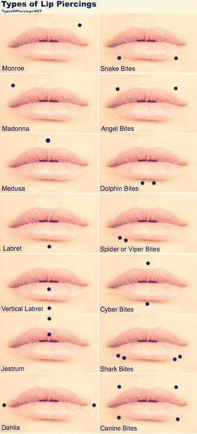 Different Types Of Lip Piercings Musely