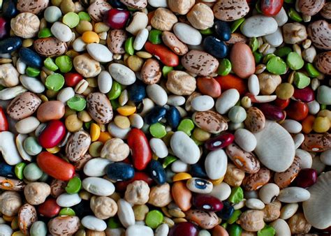 Beans And Legumes Rosanna Davison Nutrition