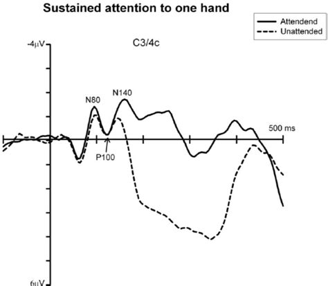 Effects Of Sustained Spatial Attention On Tactile Processingthe Figure