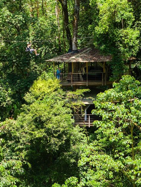 Finca Bellavista Treehouse Community Sustainable Treehouses In Costa Rica