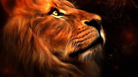 Hd Wallpaper Widescreen Lion