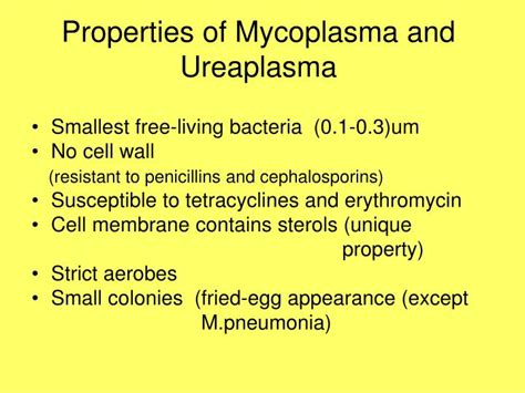 PPT - Mycoplasma and Ureaplasma PowerPoint Presentation - ID:2979116