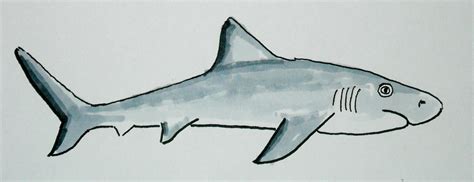 How To Draw Worksheets For The Young Artist How To Draw A Shark Easy
