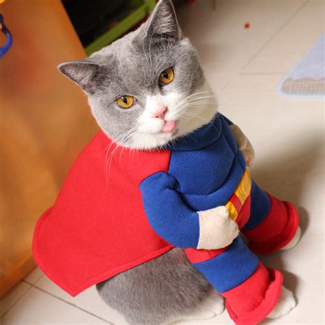 Supercat Outfit Cool Cats Rule