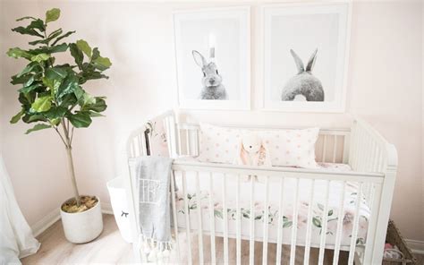 Bunny Inspired Nursery Project Nursery