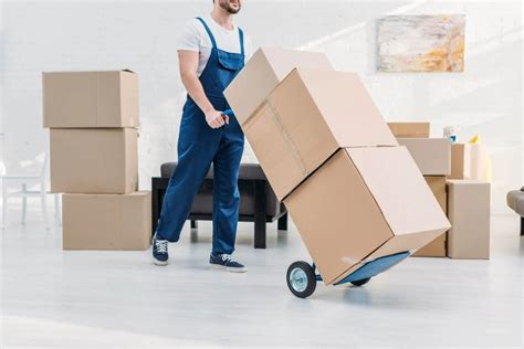 Why You Should Hire A Professional Mover Insidedharma