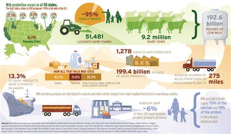 Dairy Industry Dairy Cows Milk Production