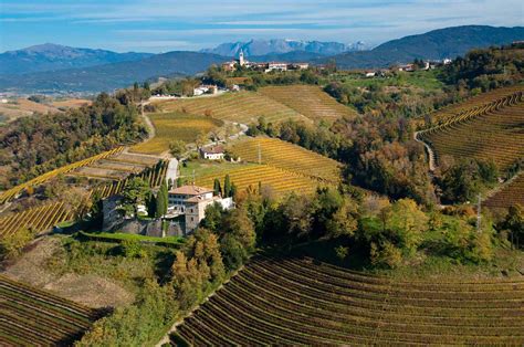 Ecco alcune specialità da assaggiare assolutamente quando e se decidi di visitare il friuli venezia giulia, dal dolce al salato, dai prodotti tipici ai piatti più amati. I prodotti tipici del Friuli Venezia Giulia