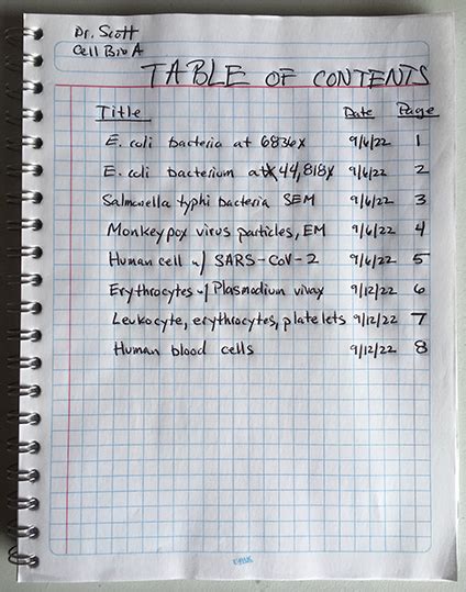 Lab Report Example High School Biology Easy Hard Science