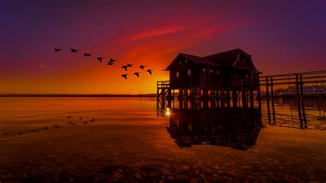 1366x768 Lake House On Pier Birds Flying Sunset Scenery 1366x768