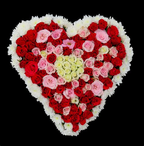Free Images Petal Love Heart Pattern Red Arrangement Roses Art