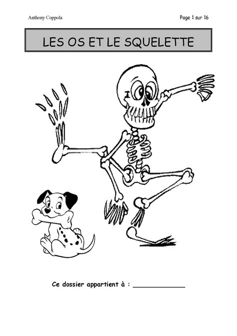 Dossier En Sciences Les Os Et Le Squelette Bdrp