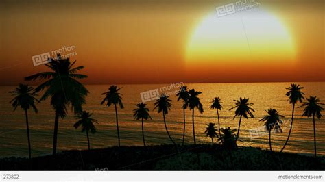 (1154) Tropical Island Sunset Palm Trees Ocean Waves Animation Stock Animation | 273802