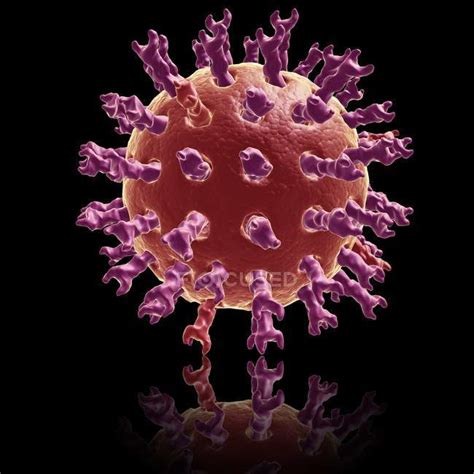 Rotavirus infection affects most kids and is one of the most common causes of diarrhea. Medizinische illustration - Stockfotos, lizenzfreie Bilder ...