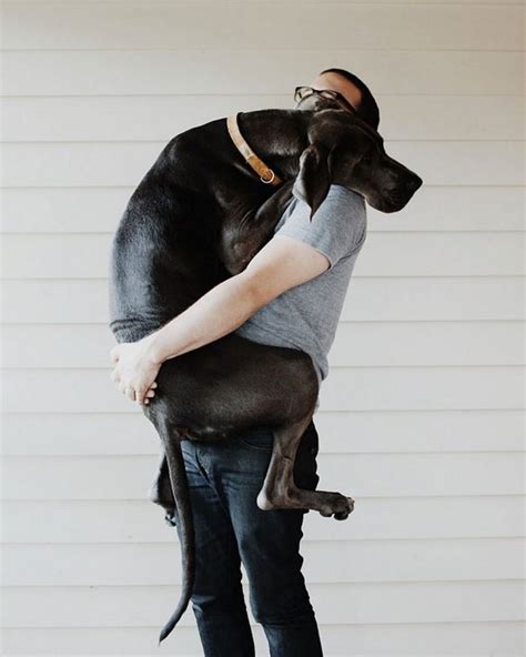 15 Dogs Hugging Their Owners Images To Make You Feel Warm And Fuzzy