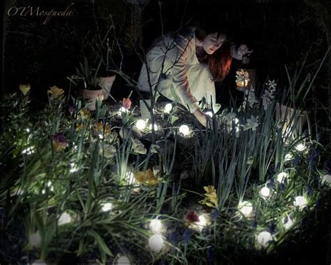 Above ground annuals, especially fruit plants also cereals and flowers optimum planting day (2 days before the full moon). Pin on Gardening