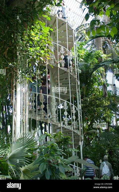 Visitors Inside The Palm House Royal Botanic Gardens Kew London Gb