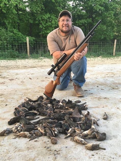 This Hunter Waged A War On Feral Cats Now He Says He Has
