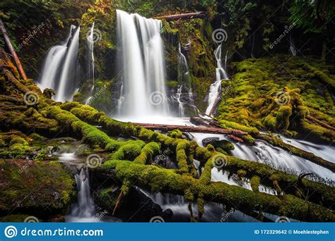 Downing Creek Falls A Hidden Falls In Oregon Stock Photo Image Of
