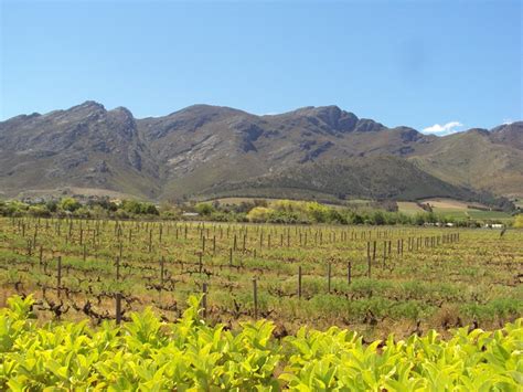 Lush Greenery Vineyards And Mystic Mountains To Celebrate The New
