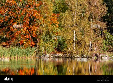 Sea Autumn Hi Res Stock Photography And Images Alamy