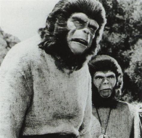 Vietnam Apes Were Mysterious Creatures