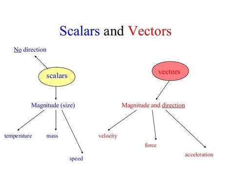 Lesson 5 scalars and vectors error bars