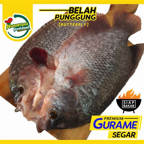 Jual Ikan Gurame Nila Segar Siap Bakar Belah Punggung Premium