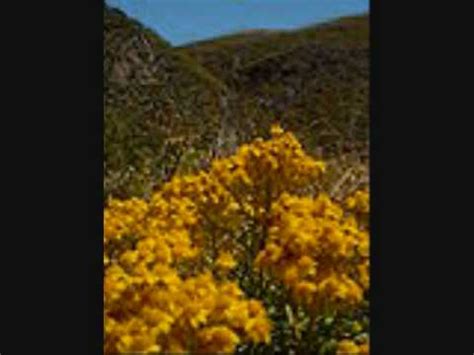 Maybe you would like to learn more about one of these? California State Song