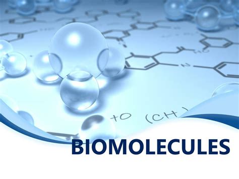 Che Cosa Sono Le Biomolecole - PPT - BIOMOLECULES PowerPoint Presentation, free download - ID:6096358