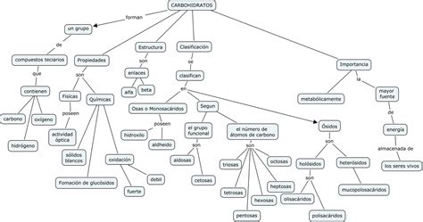 Mapa Conceptual Clasificacion De Los Carbohidratos Most Complete