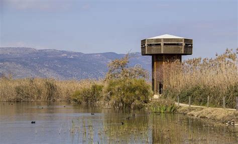Lake Hula Israel Nature And Wildlife Park Stock Photo