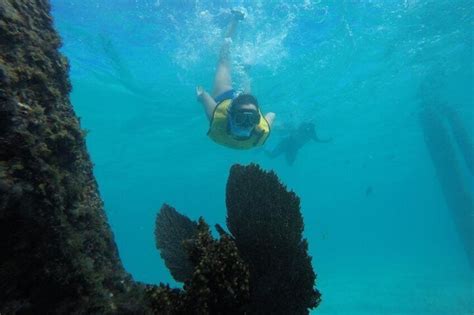 5 In 1 Cancun Snorkelling Tourswim With Turtles Reef Musashipwreck