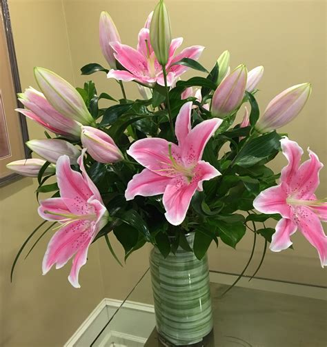 Pink Liliana Pink Oriental Lilies In Philadelphia Pa Natures