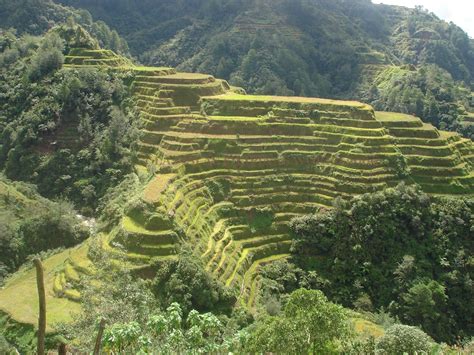 Las Islas Filipinas World Famous Banaue Rice Terraces From Viewing Deck