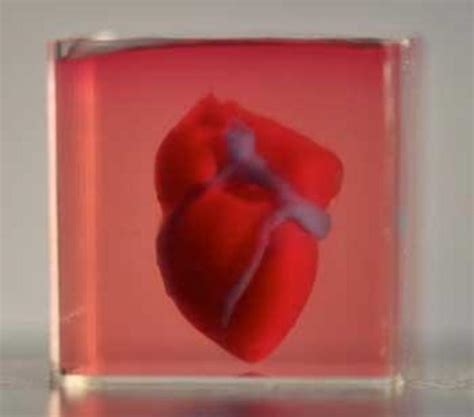 Scientists Print First 3d Heart Using Patients Biological