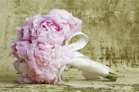 Scroll down to view the national list or choose your state's calendar. The 12 Best Spring Wedding Flowers in Season