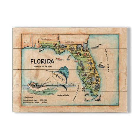 Historic Vintage Kids Map Of Florida Old Wood Signs