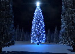 Image result for blue christmas