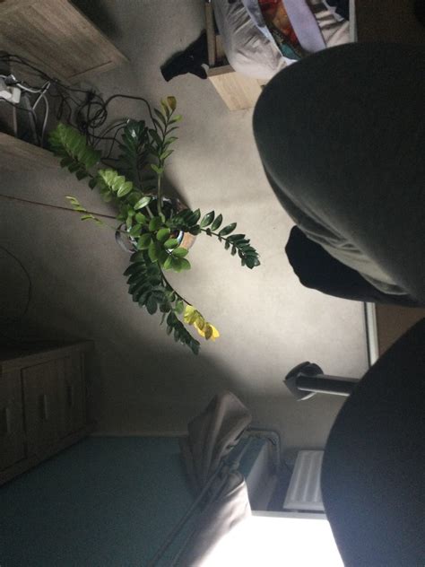 fuck it i'm sitting on my chair on top of my closet ・ popular.pics