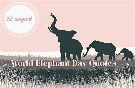 World Elephant Day 2023 Wishes, Quotes, Images, Messages, SMS