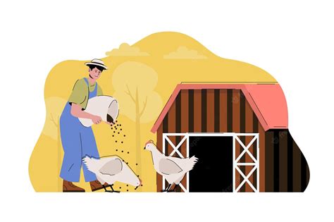 Premium Vector Poultry Farming Concept Farmer Feeding Chickens Works