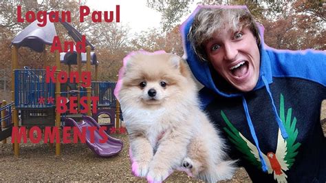Logan Paul And Kong Best Moments Youtube