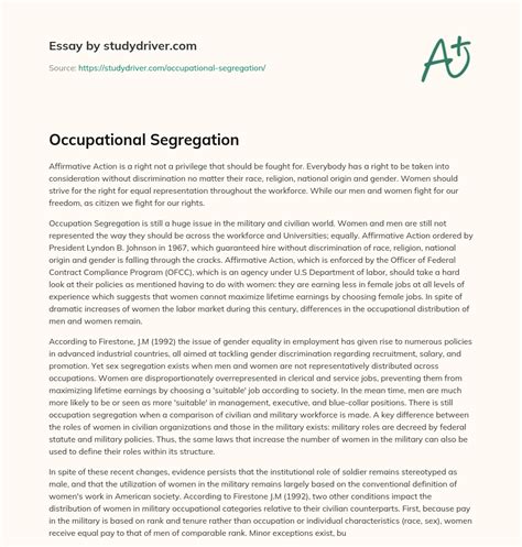 Occupational Segregation Free Essay Example