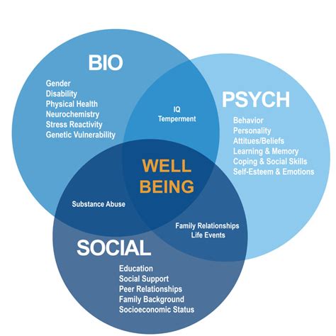 A Better Paradigm For Health Professionals The Biopsychosocial
