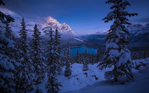 Canada Peyto Lake Winter Snow Scenic Landscape Hd Wallpaper Peakpx