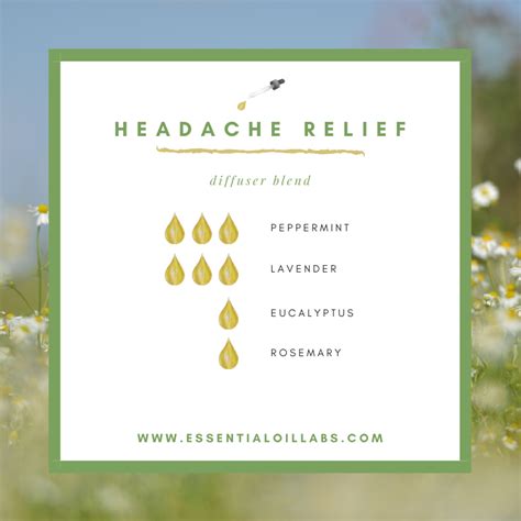 Headache Relief Diffuser Blend By Essential Oil Labs Modern In 2022