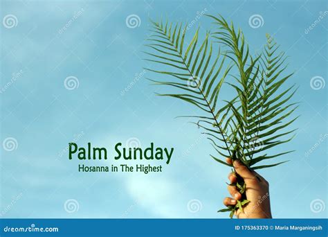 Palm Sunday Quote Hosanna To The Highest With Fern Or Palm Leaf In